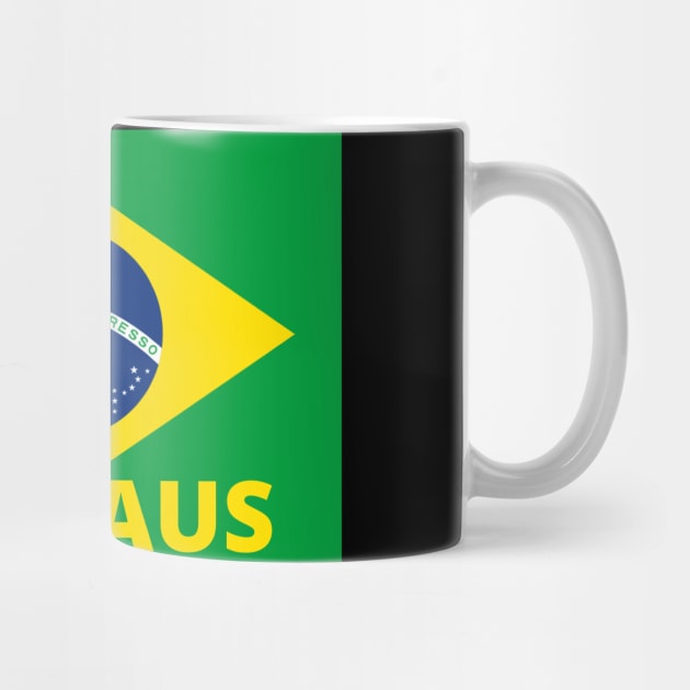 Manaus City in Brazilian Flag by aybe7elf